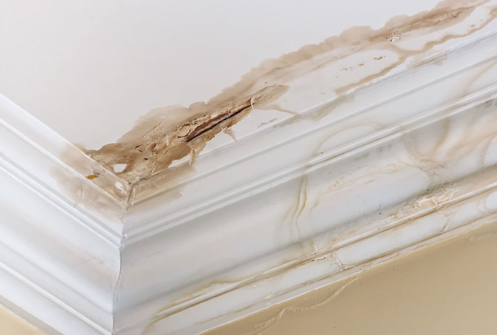 Leaking Roof Repair