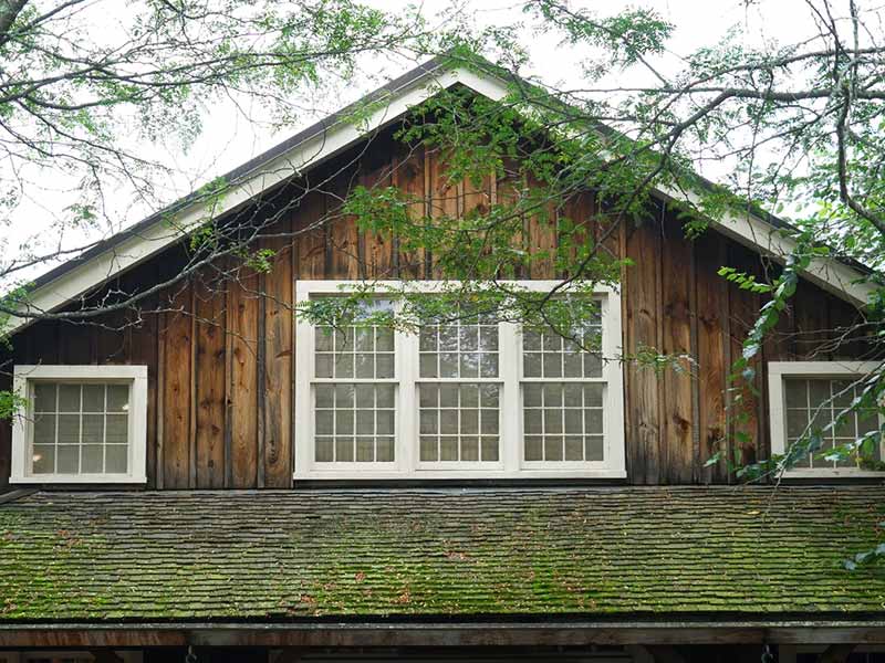 Featured image for “Moss on Roof: Causes, Risks, and Effective Removal Solutions”