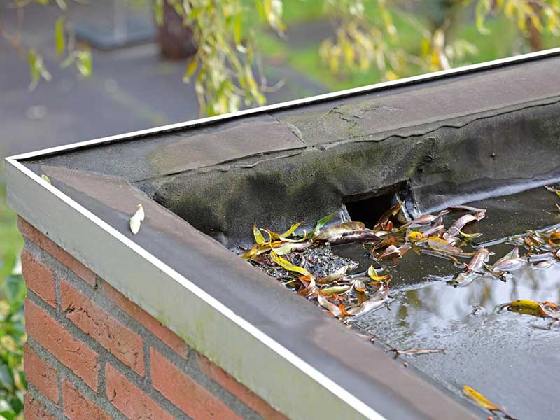 Featured image for “Flat Roof Drainage: 5 Tips & Types for Proper Water Flow”