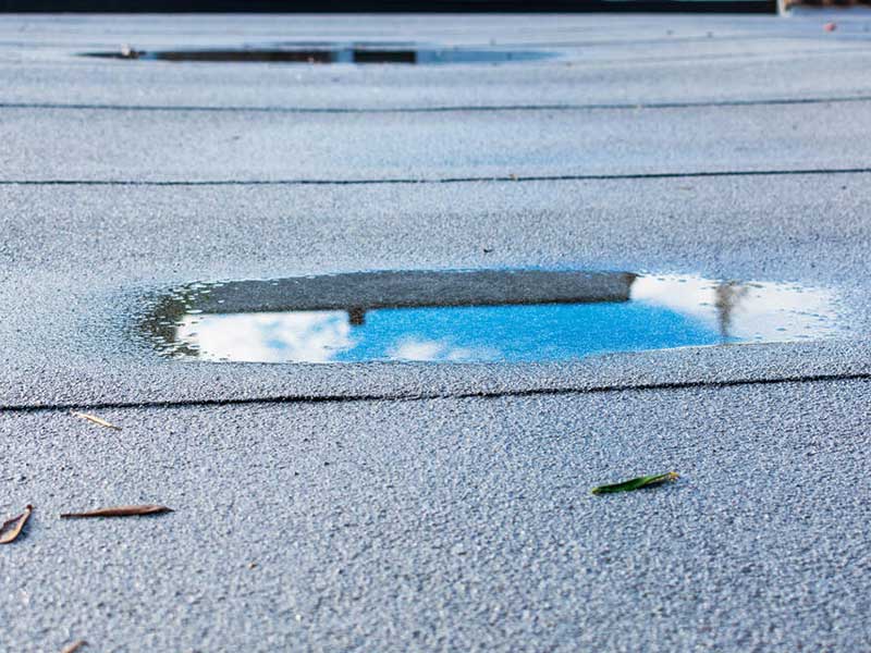 Standing water on flat roof