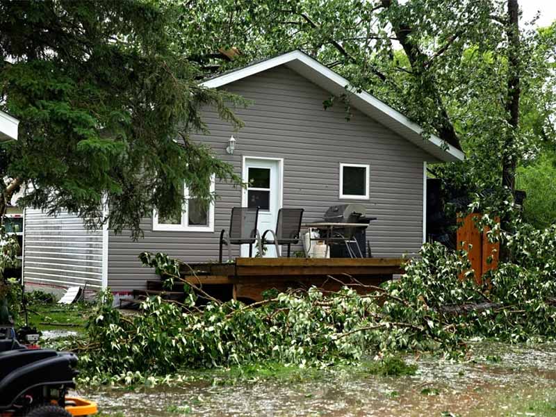 Hail damage to home roof and fallen trees