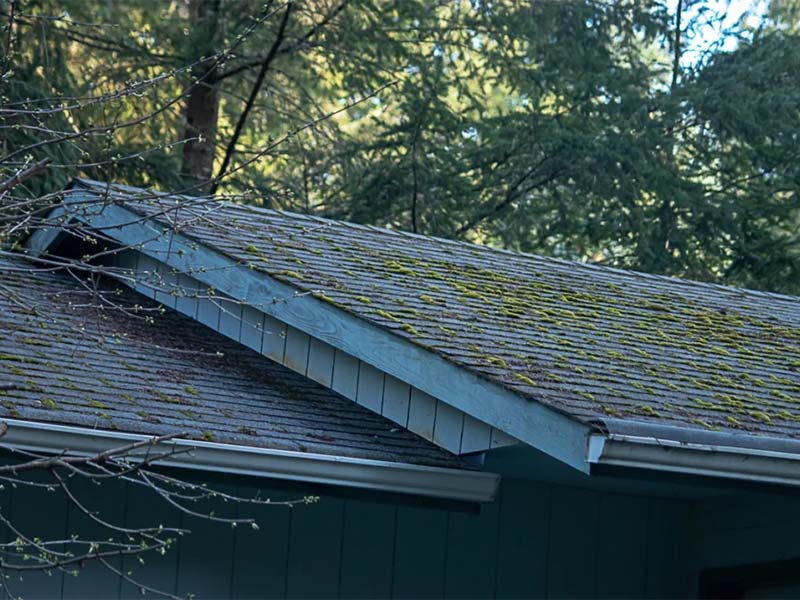 Old roof with moss and visible wear