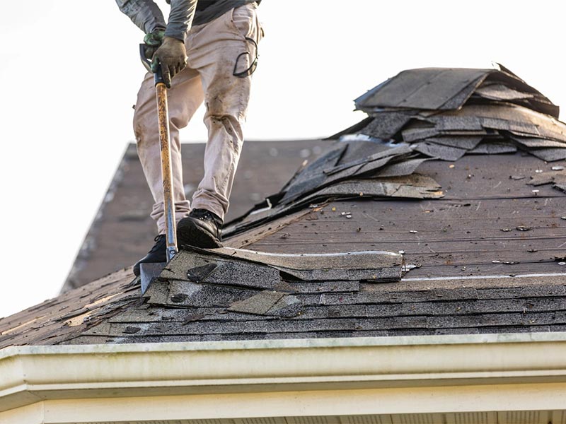 Featured image for “How to Remove Shingles in 5 Steps (DIY Guide)”