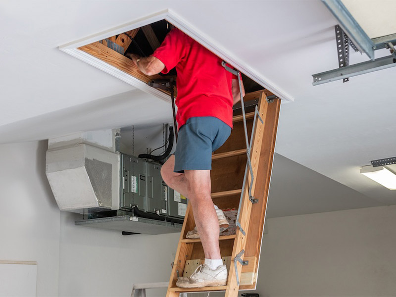 Person checking the attic through a ceiling hatch.