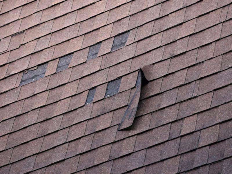 Shingle Falling Off