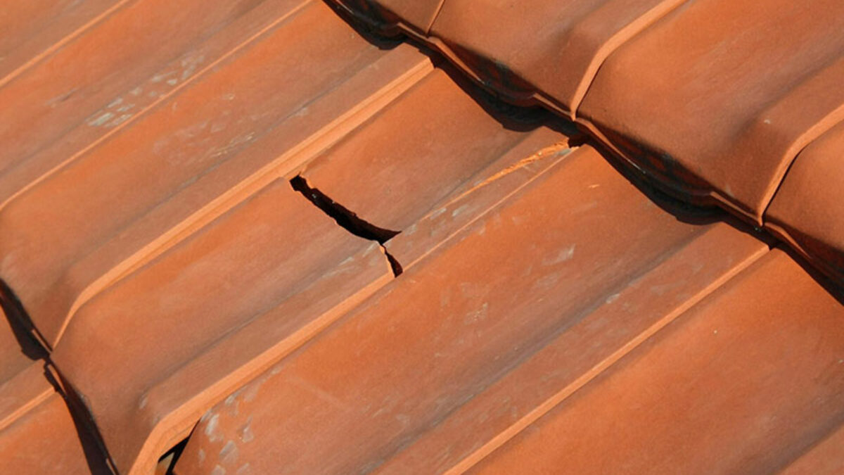 Roof Repairs & Leak Detection project 2