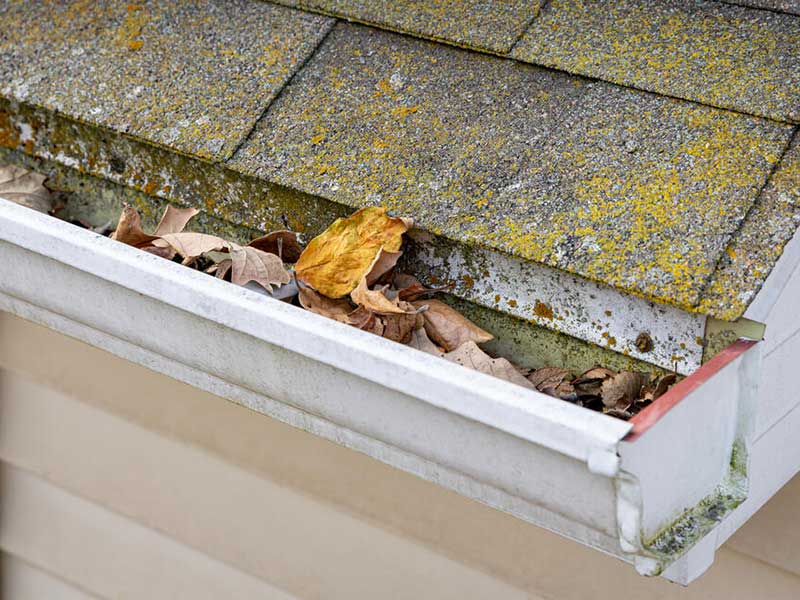 Dirty Roof with clogged gutter