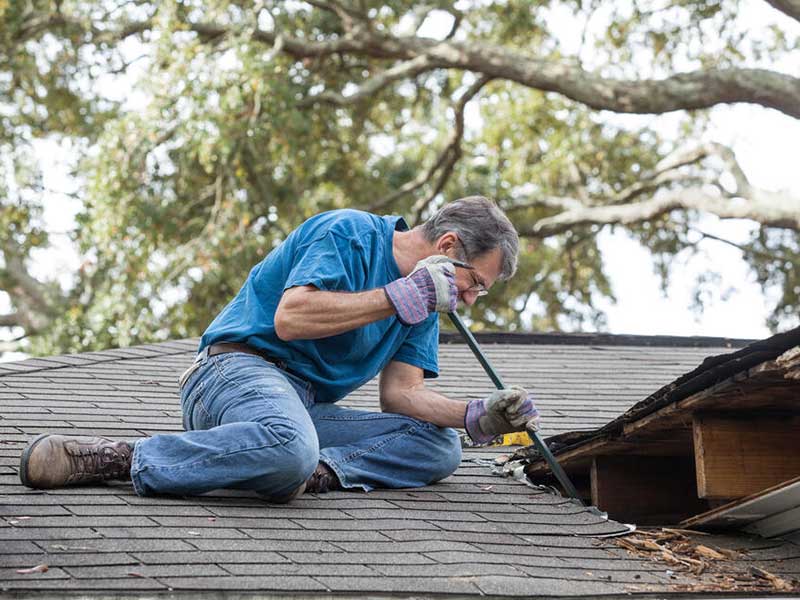 Mold on roof shingles