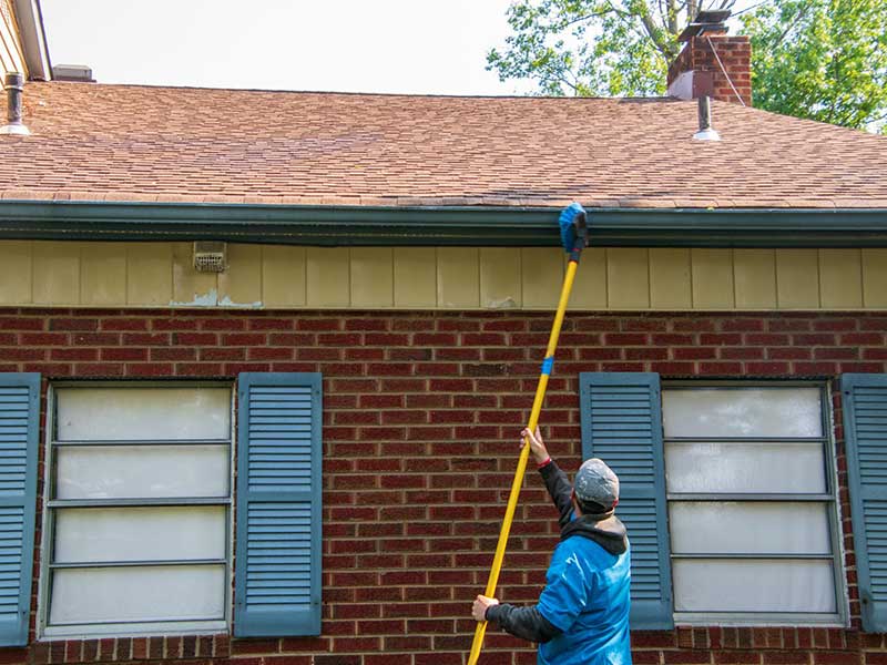 Featured image for “What Causes Mold on Roof Shingles? (7 Preventions & Solutions)”