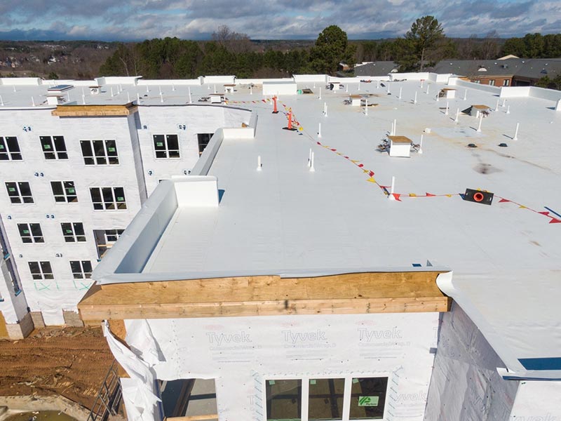 Featured image for “3 TPO Roof Warranty Options for Your Business (2024)”