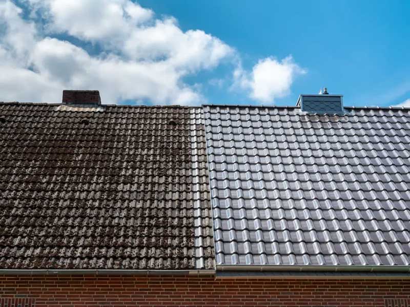 Before and after roof cleaning