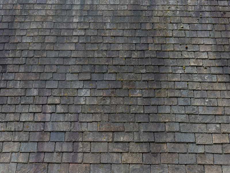 Featured image for “What Causes Black Streaks on Roof? (3 Step Repair Guide)”