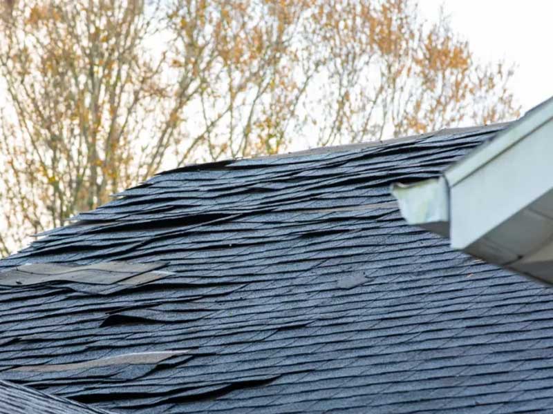 Lifted shingles