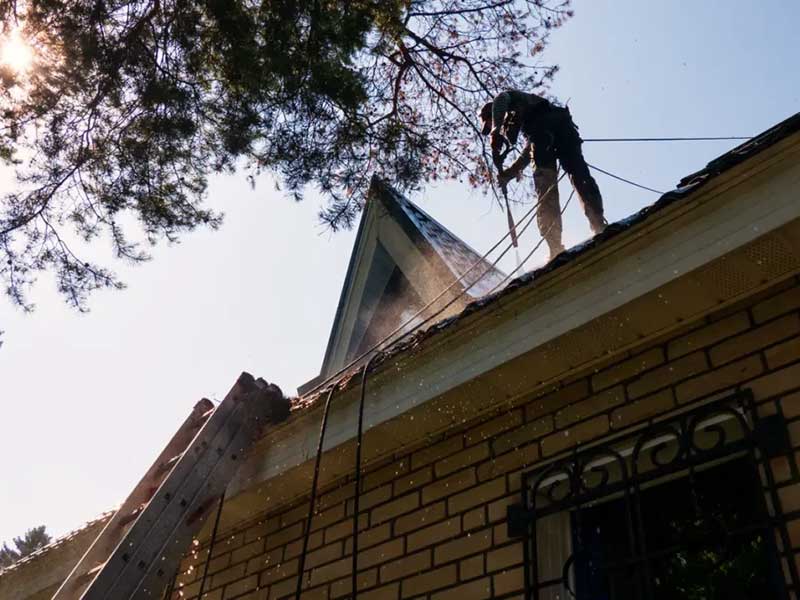 Roof cleaning