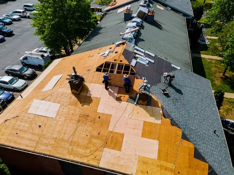 roof deck and shingle installation