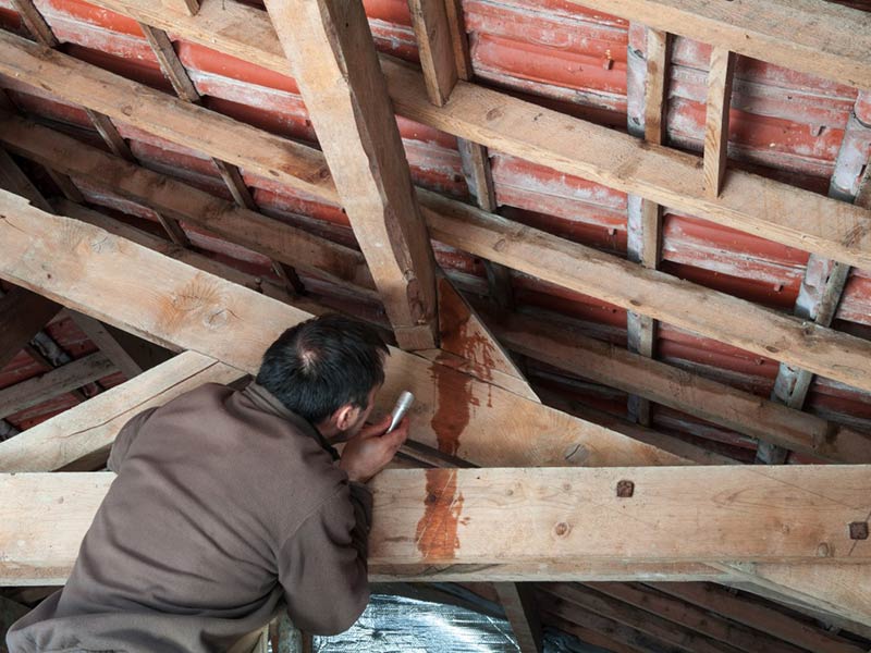 Featured image for “A Comprehensive Shingle Roof Inspection Checklist”