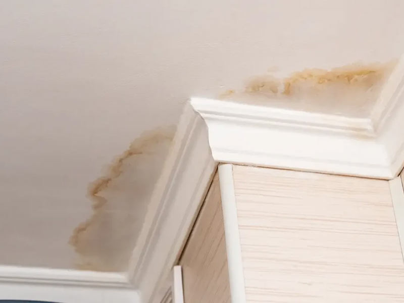 Water Stained Ceiling